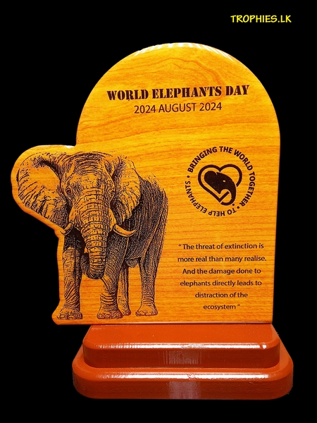 Trophies & Souveniers